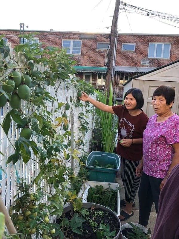 image of people gardening